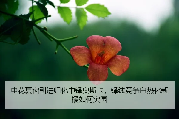 shen-hua-xia-chuang-yin-jin-gui-hua-zhong-feng-ao-si-ka-feng-xian-jing-zheng-bai-re-hua-xin-yuan-ru-he-tu-wei-2-612.jpg
