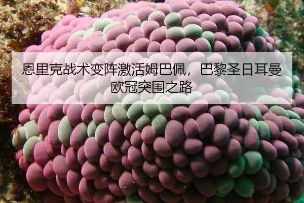 en-li-ke-zhan-shu-bian-zhen-ji-huo-mu-ba-pei-ba-li-sheng-ri-er-man-ou-guan-tu-wei-zhi-lu-2-198.jpg
