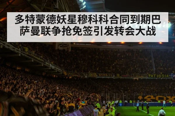 soccer stadium atmosphere