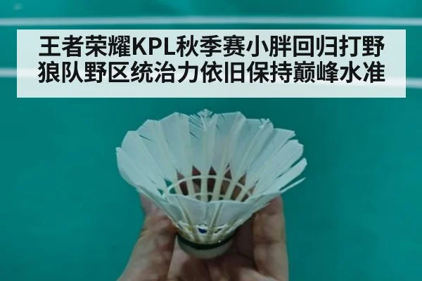 王者荣耀KPL秋季赛小胖回归打野狼队野区统治力依旧保持巅峰水准